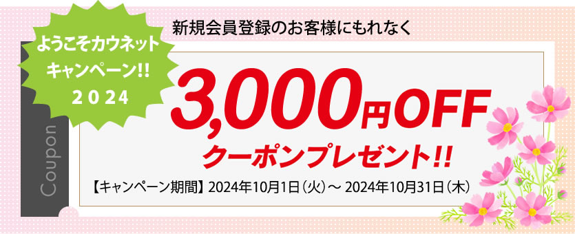 「3,000ポイント」キャンペーン