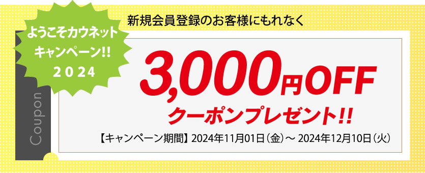 「3,000ポイント」キャンペーン