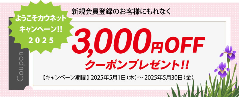 「3,000ポイント」キャンペーン